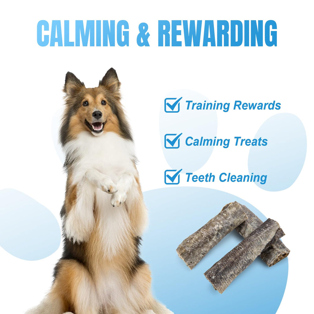 Amzey Omega-3 Rich Dog Treats highlighting potential coat shine.