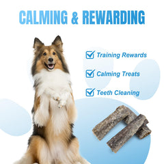 Amzey Omega-3 Rich Dog Treats highlighting potential coat shine.