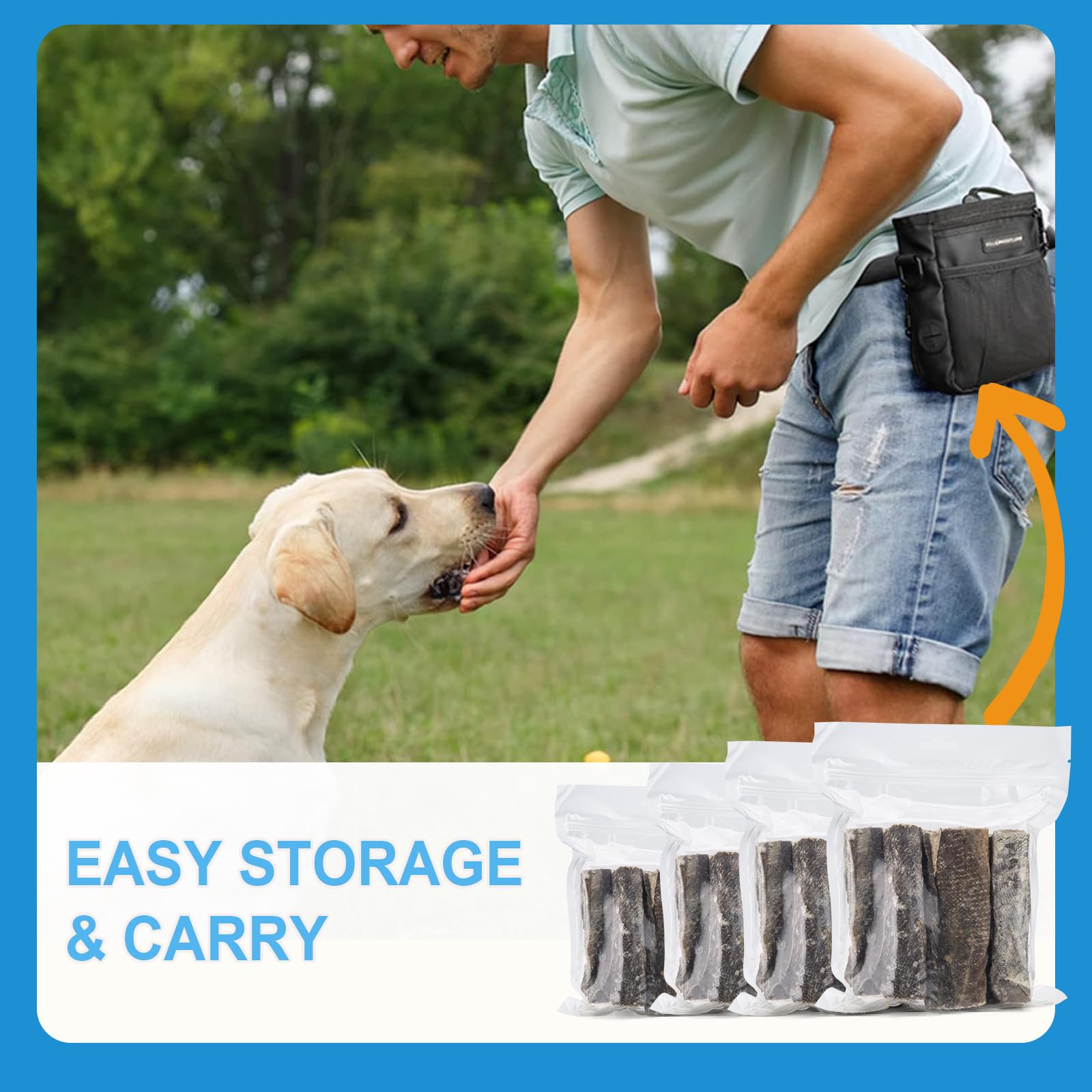 Amzey Portable Pack for on-the-go pups during walks.