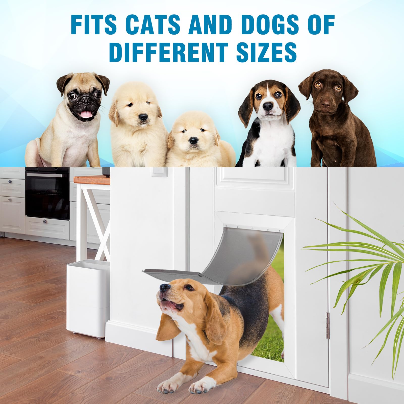AMZOO two-way flap demonstrates easy indoor-outdoor access for dogs.