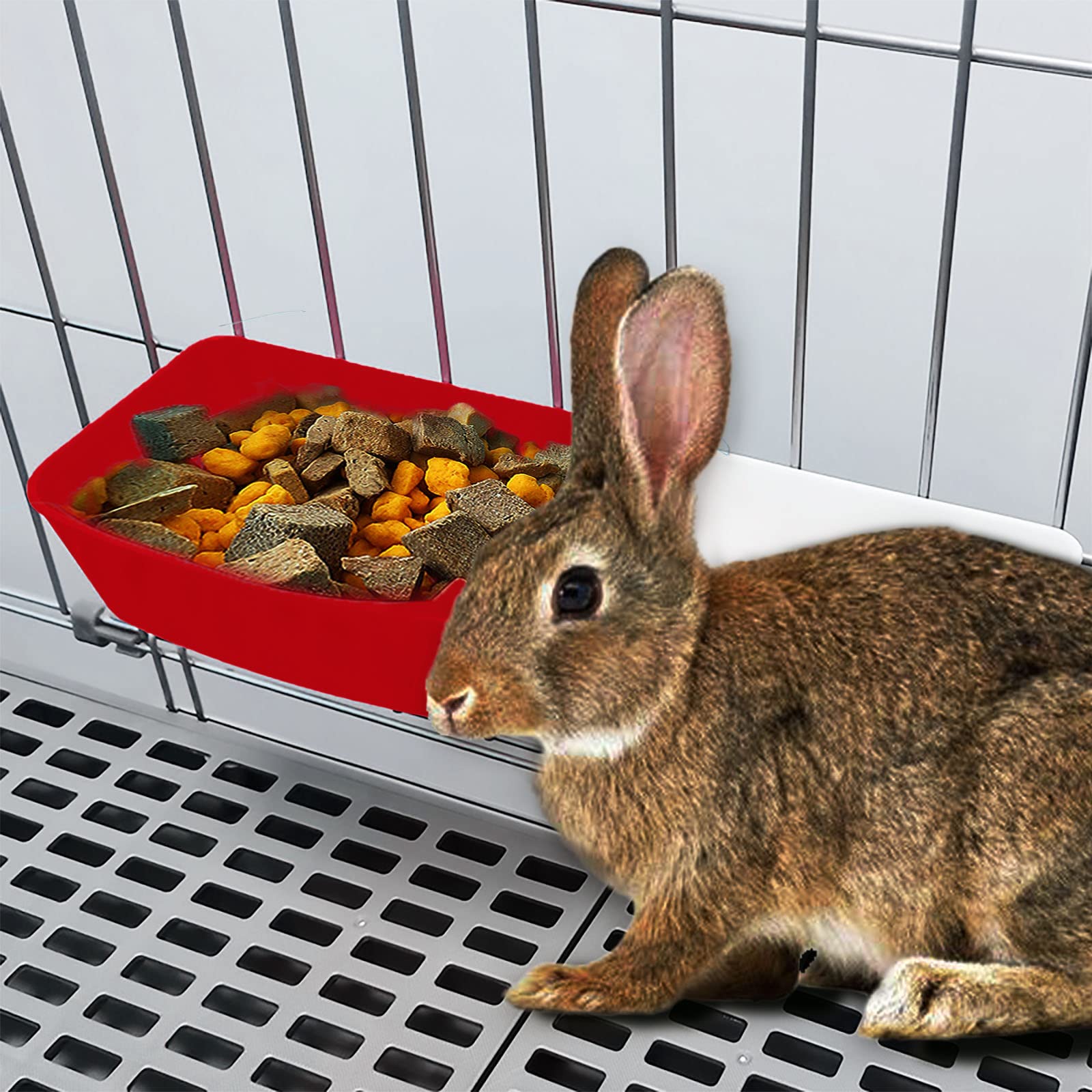 AMZSYLV versatile feeding solution for poultry and small pets in coop or cage.