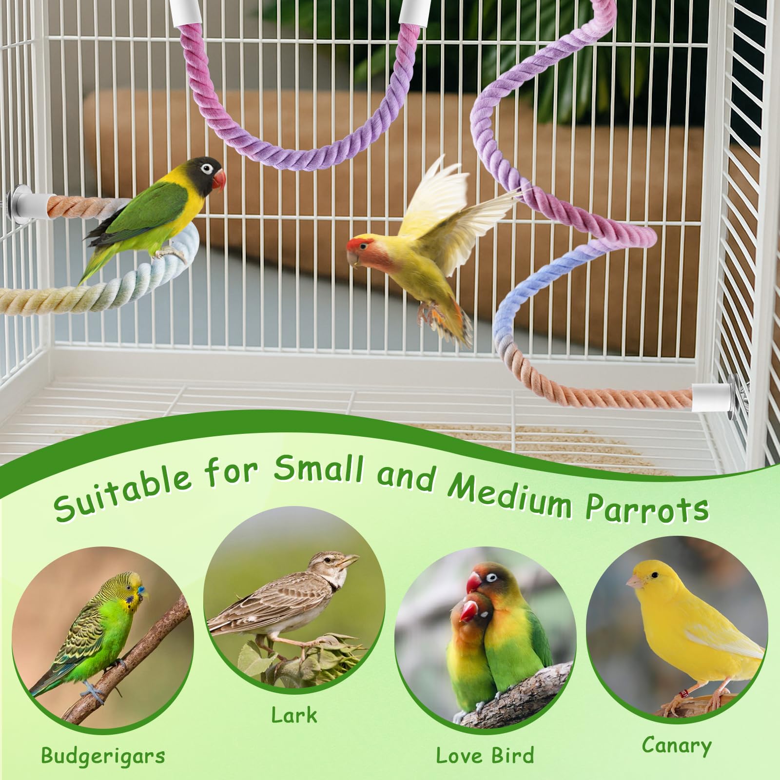 ANA EGO suitable for small to medium parrots like cockatiels and budgies