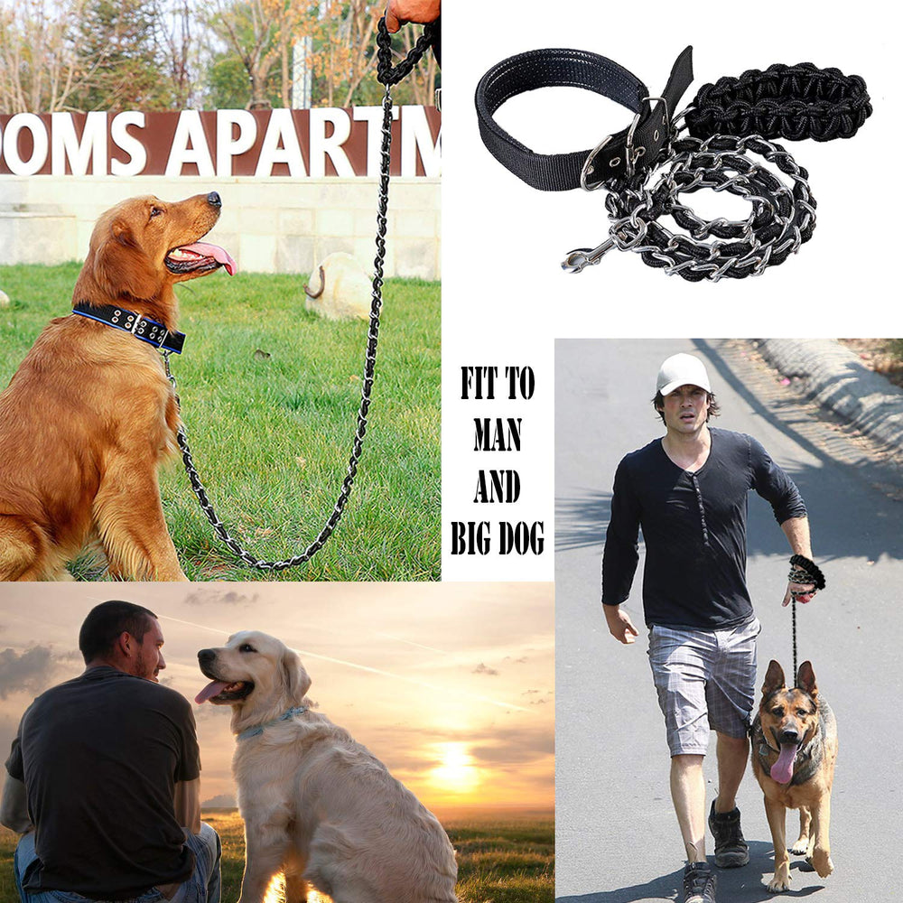 AncBace heavy-duty leash designed for large breeds ensures secure handling.