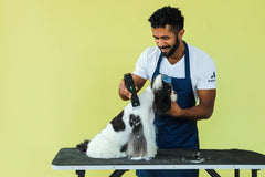Andis Pulse ZR II LED charge light shows battery status during grooming.