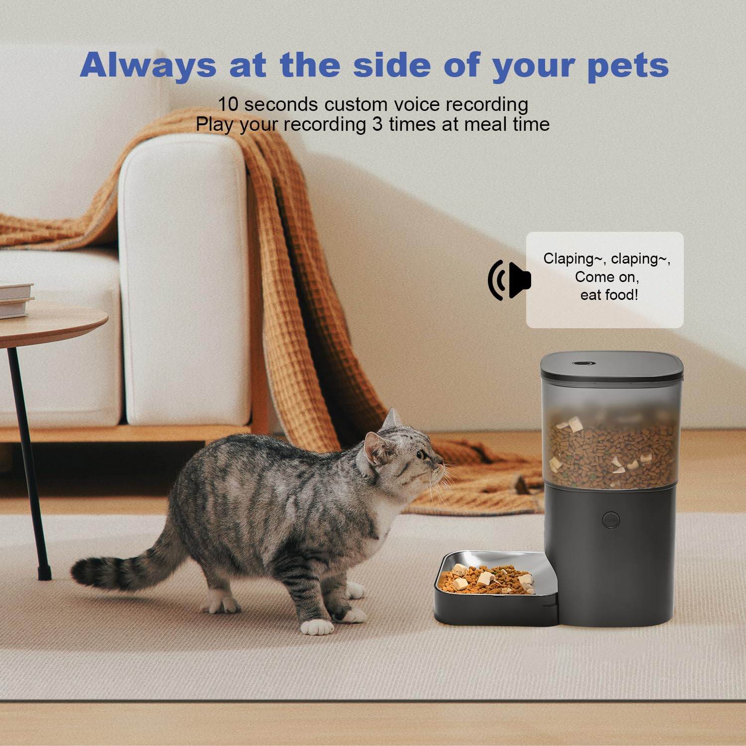 ANDOLL HOME programmable feeding display for precise timing