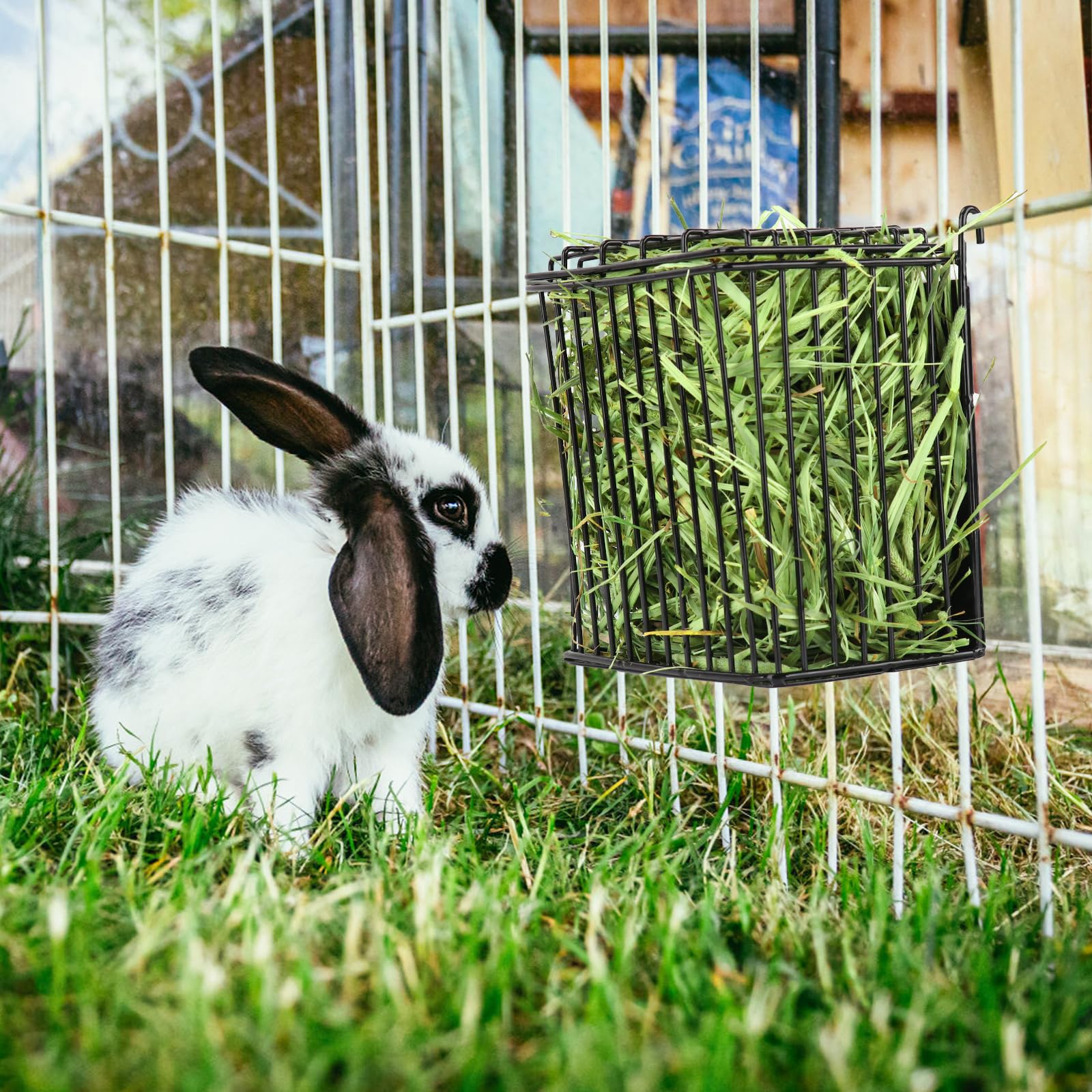 Andounier cage-wall hay feeder saves space during feeding sessions.