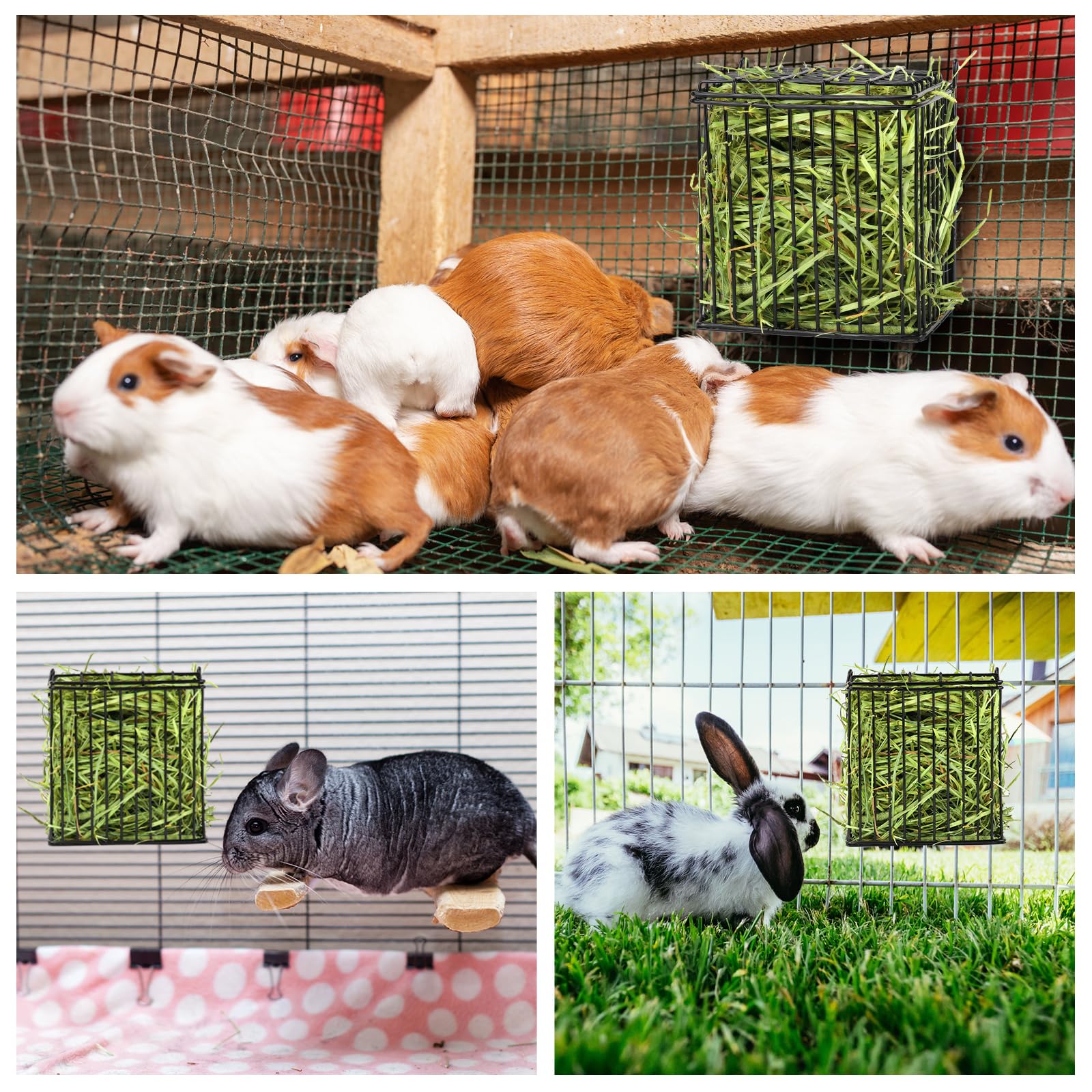 Andounier small-animal friendly design supports comfortable feeding.