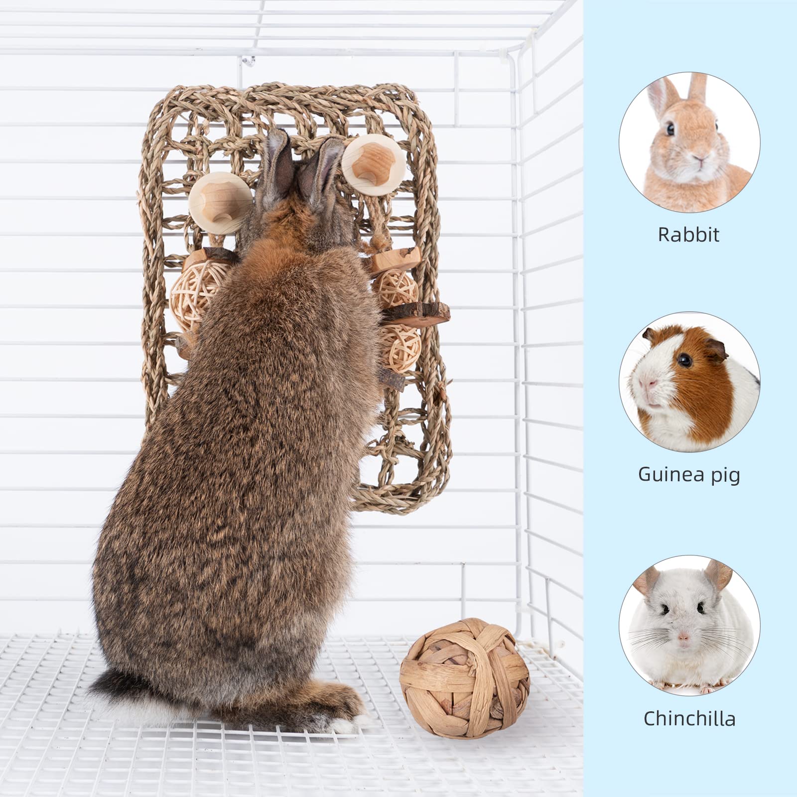 andwe Seagrass Protector Mat mounted on a cage wall protecting paws during play.