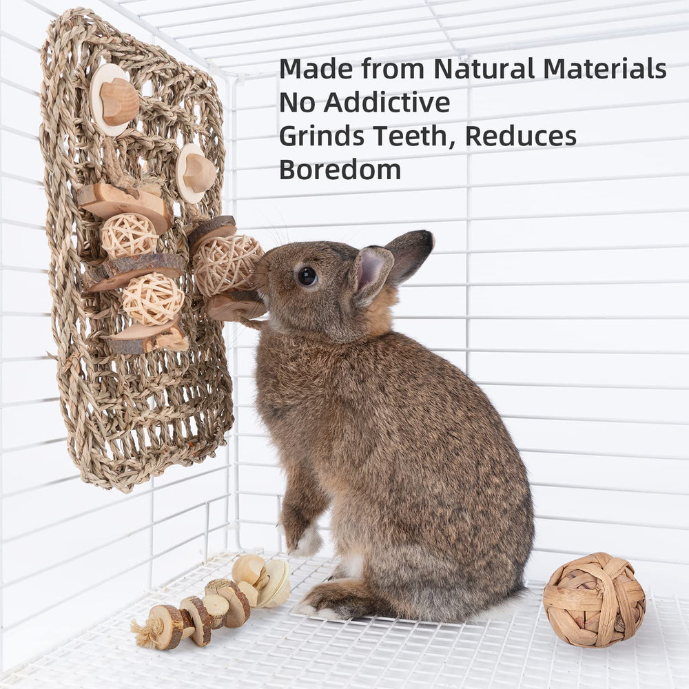 andwe pet-friendly design supports enrichment in small animal habitats.