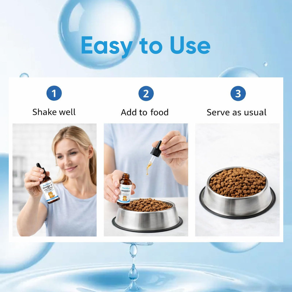 ANEFOSE PurrVita drops help a cat enjoy a calm mealtime.