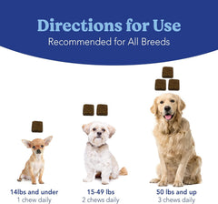ANGELS' EYES Natural Plus beef-flavor chews offer tasty daily support for eye health.