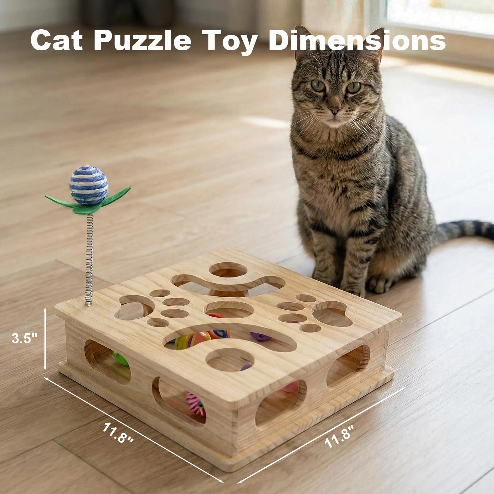 Angetra Pine Wooden Cat Puzzle Box top view highlighting maze features