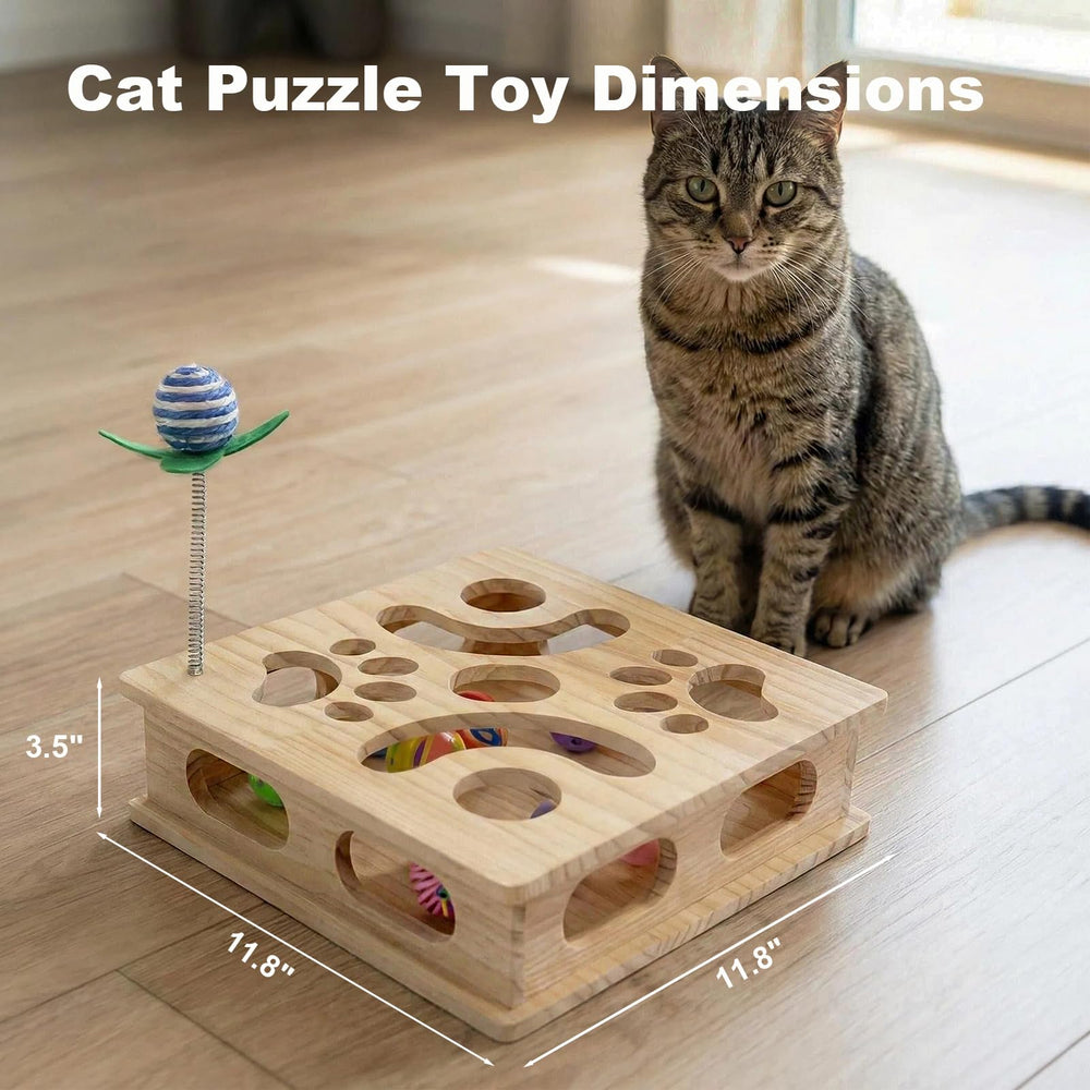 Angetra Pine Wooden Cat Puzzle Box top view highlighting maze features