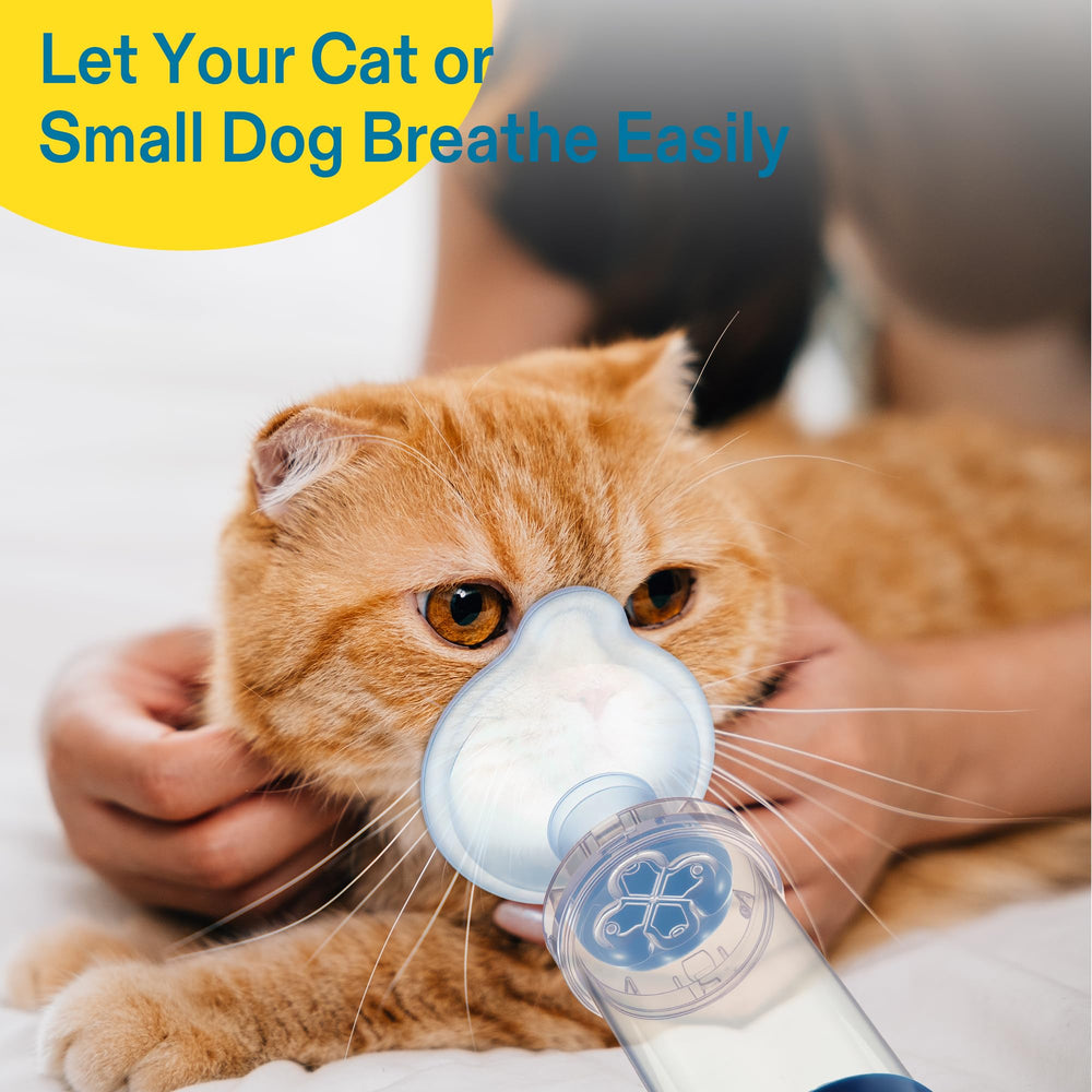 Anglechic pet medicine delivery action demonstrates easy at-home dosing.