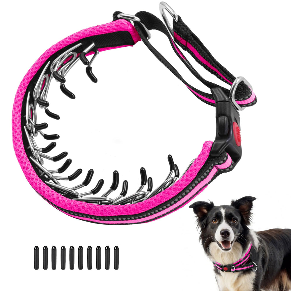Anglevate Martingale collar front view in hot pink for controlled training and guidance