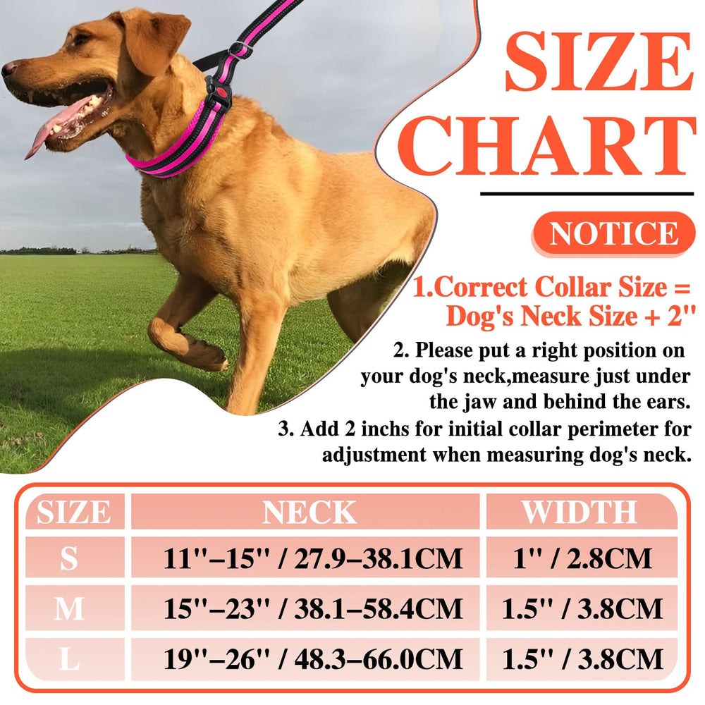 Stainless steel inner chain and padded outer on Anglevate collar