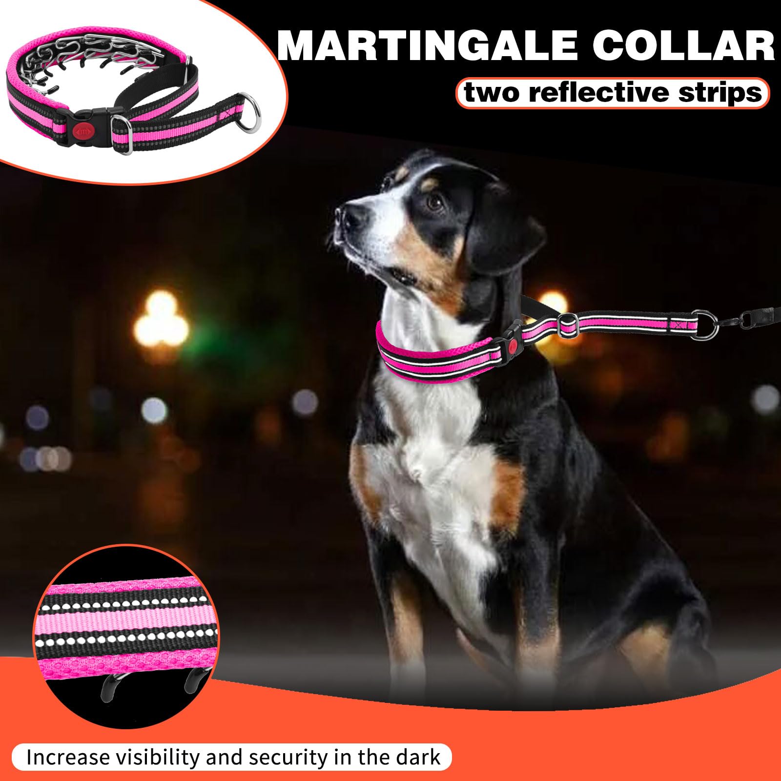 Dog wearing Anglevate collar during outdoor training and walking