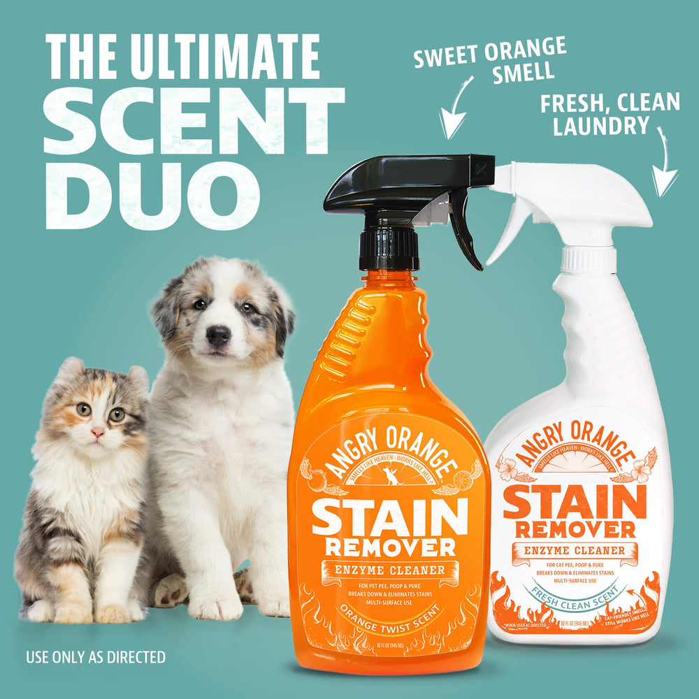 Angry Orange couch upholstery cleaner neutralizes pet smells on fabric