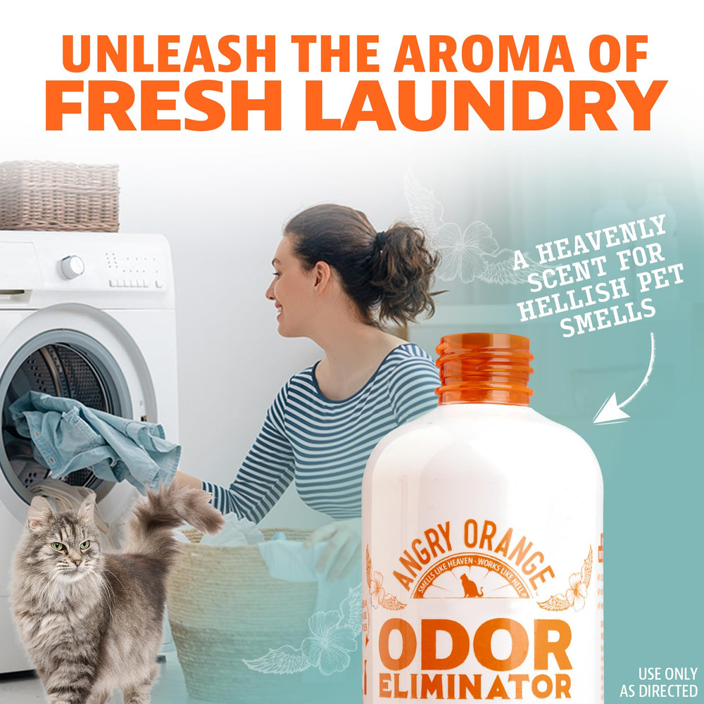 Angry Orange couch upholstery treatment targets household odors