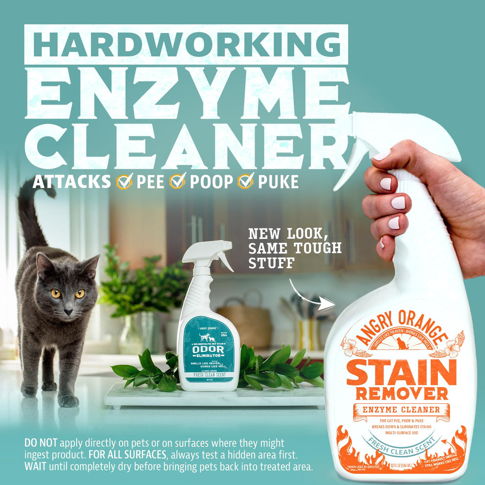 ANGRY ORANGE spray in action on a carpet stain for pets.