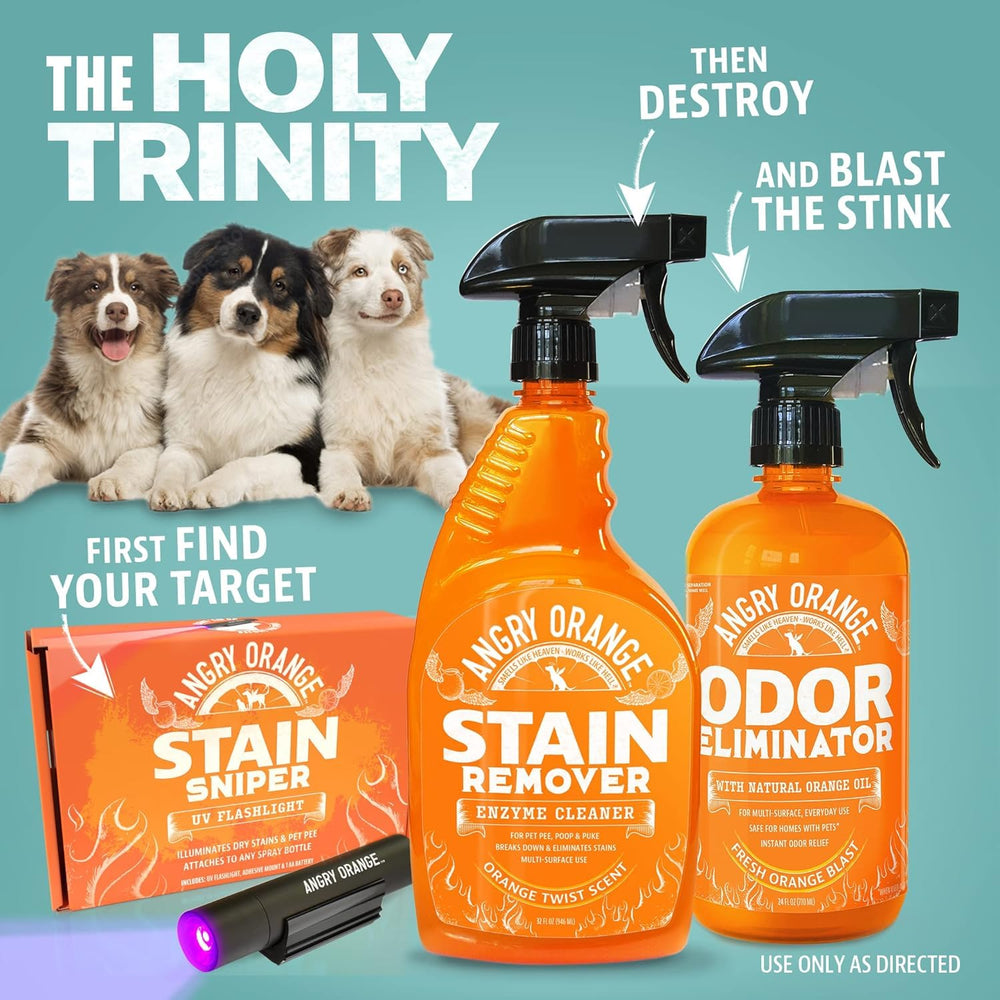 Angry Orange upholstery cleaning for couches and chairs.