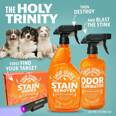 Angry Orange upholstery cleaning for couches and chairs.