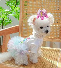 ANIAC ITS MY BIRTHDAY embroidery on dress for festive looks