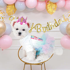 ANIAC pink bling crown hat adds sparkle for pet birthday photos