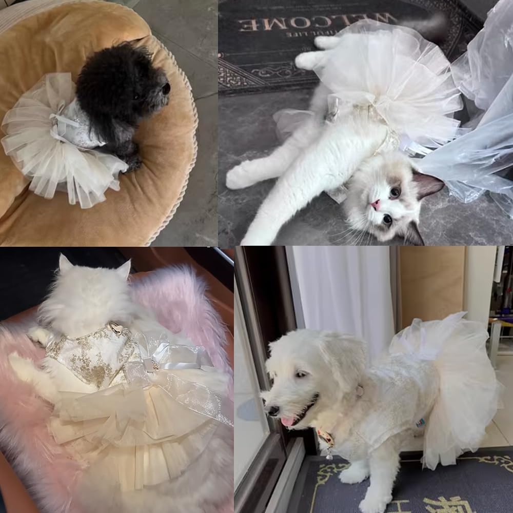 ANIAC puppy dress with tulle skirt for cute daily wear