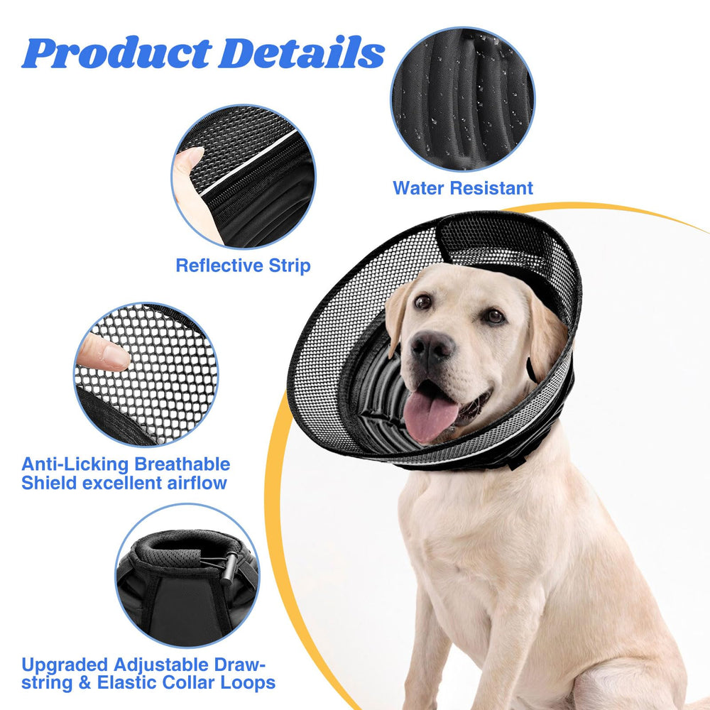 AnimaCure safety-release buckles ensure secure restraint.