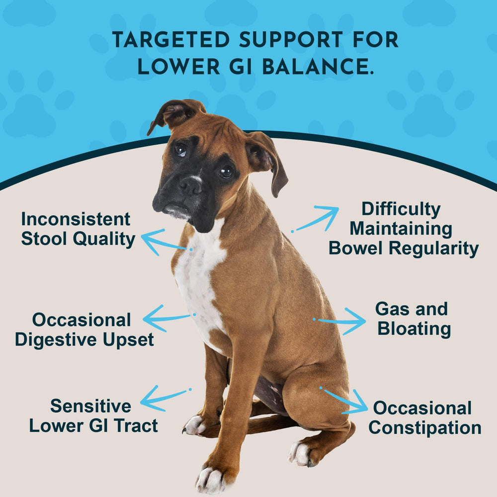 Animal Essentials Colon Rescue dropper with precise dosing for regular bowel function.