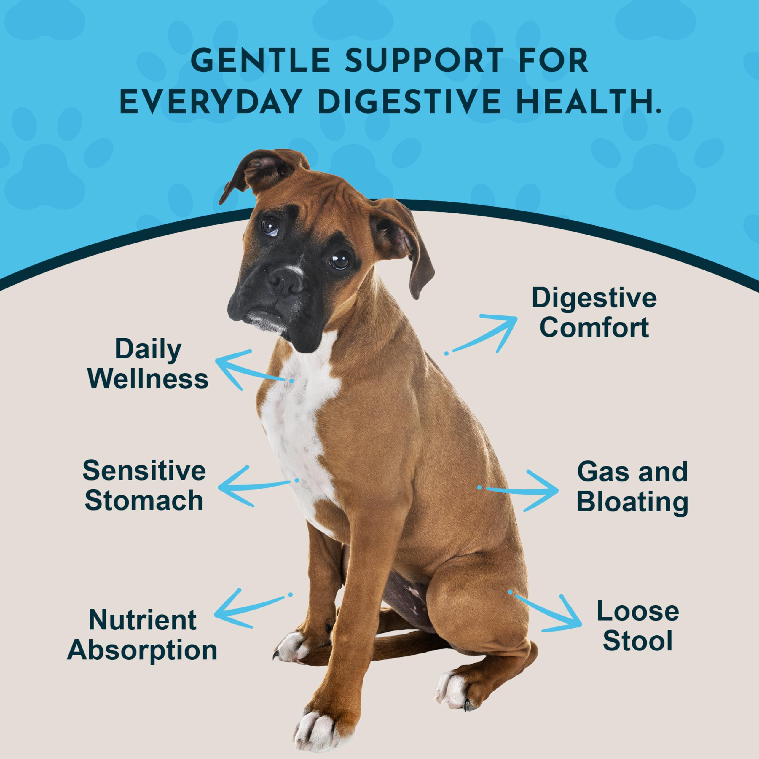 Animal Essentials Daily Digestion mixed into food for convenient mealtime use
