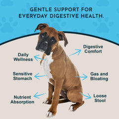 Animal Essentials Daily Digestion mixed into food for convenient mealtime use