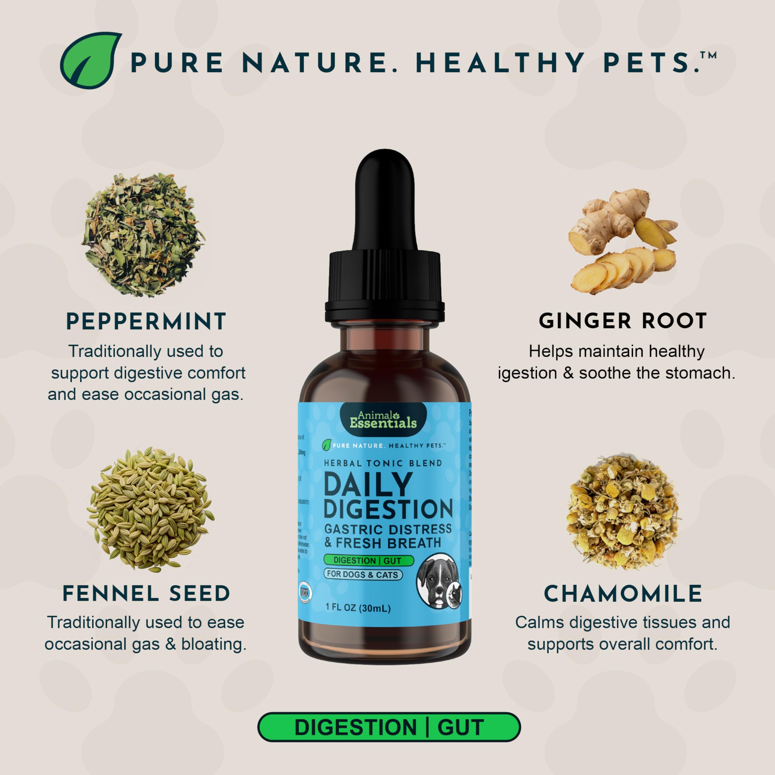 Animal Essentials Daily Digestion mixed into water for simple pet dosing