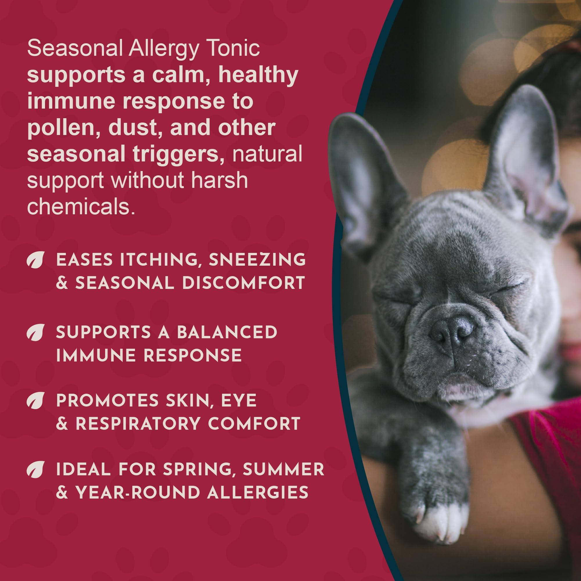 Eyebright herb component in Animal Essentials seasonal allergy formulation