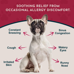 Pouring the liquid herbal supplement from Animal Essentials bottle for easy administration