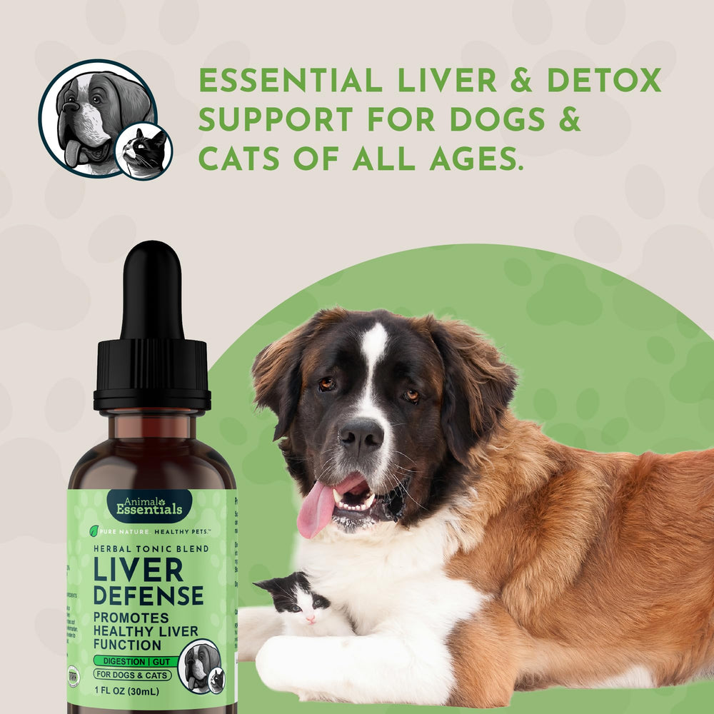 Cat uses Liver Defense for daily liver support in cats