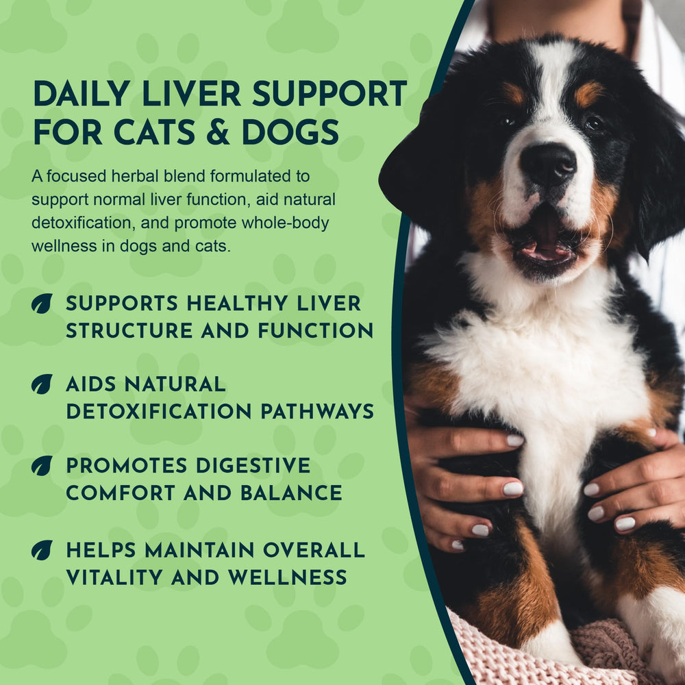 Dandelion ingredient in Liver Defense for gentle liver support