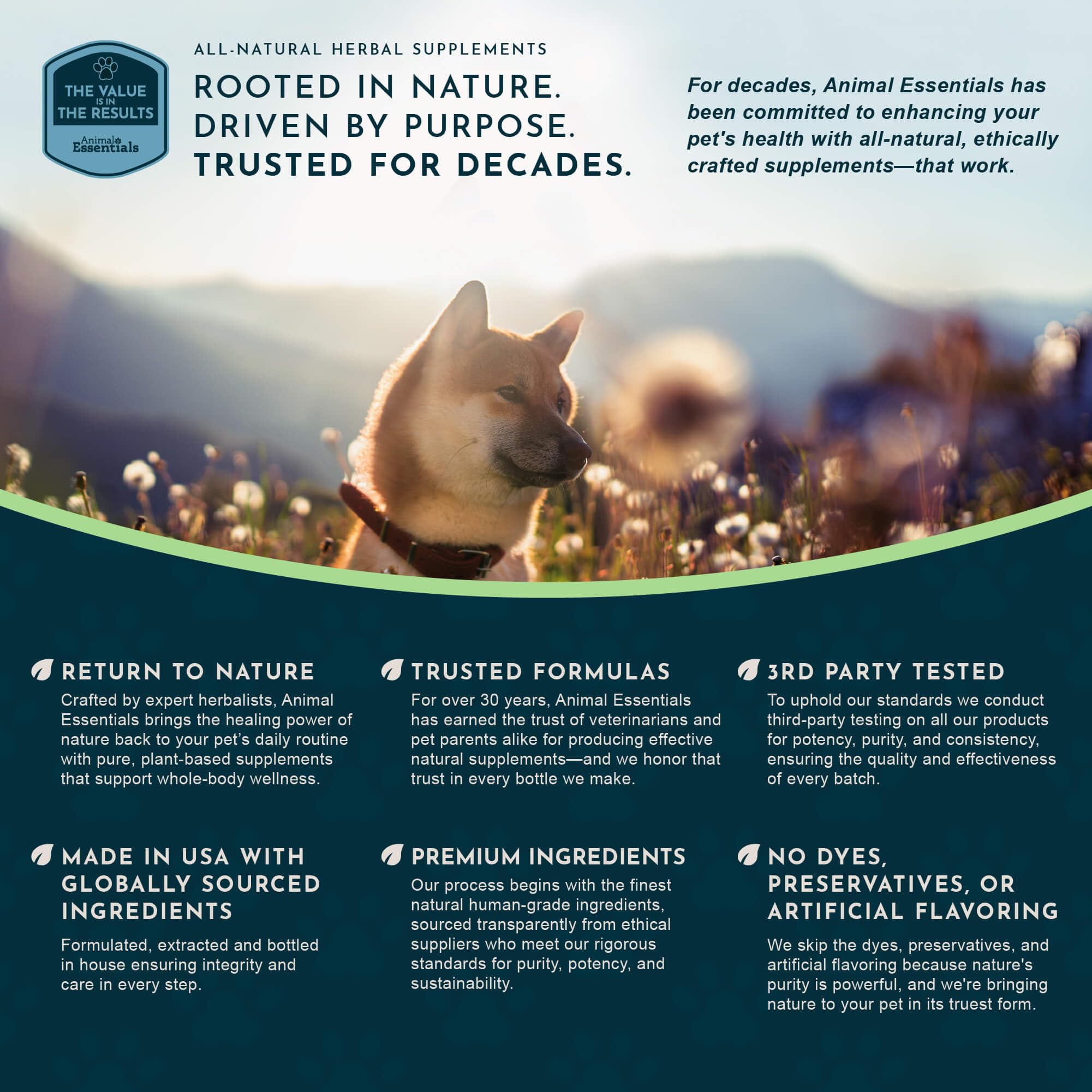 Dog uses Liver Defense for daily liver support in dogs