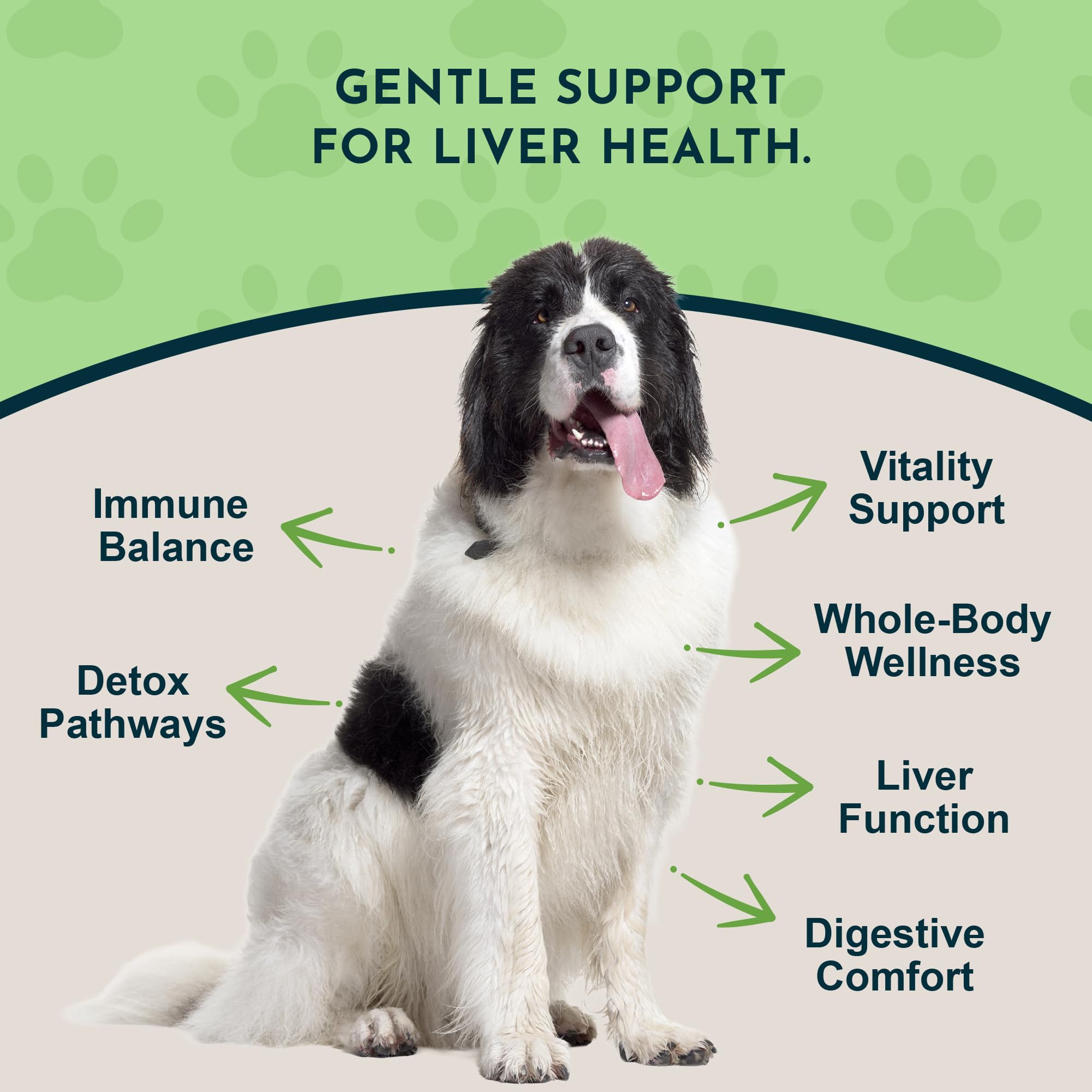Liver Defense dropper dosing a precise amount for pets
