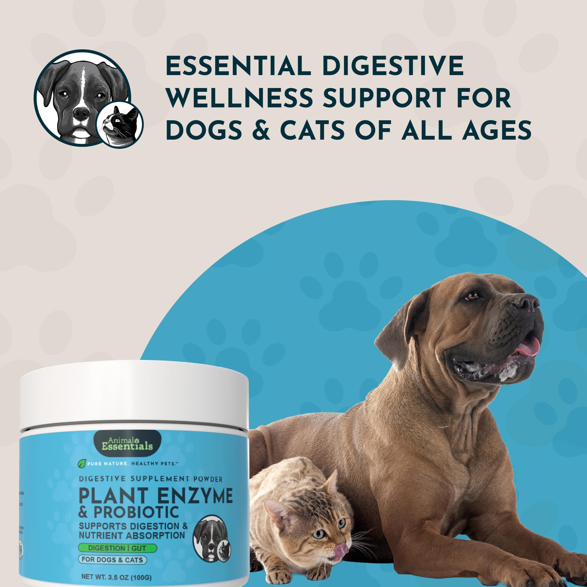 Animal Essentials Plant Enzyme & Probiotics bottle close-up shows product quality.