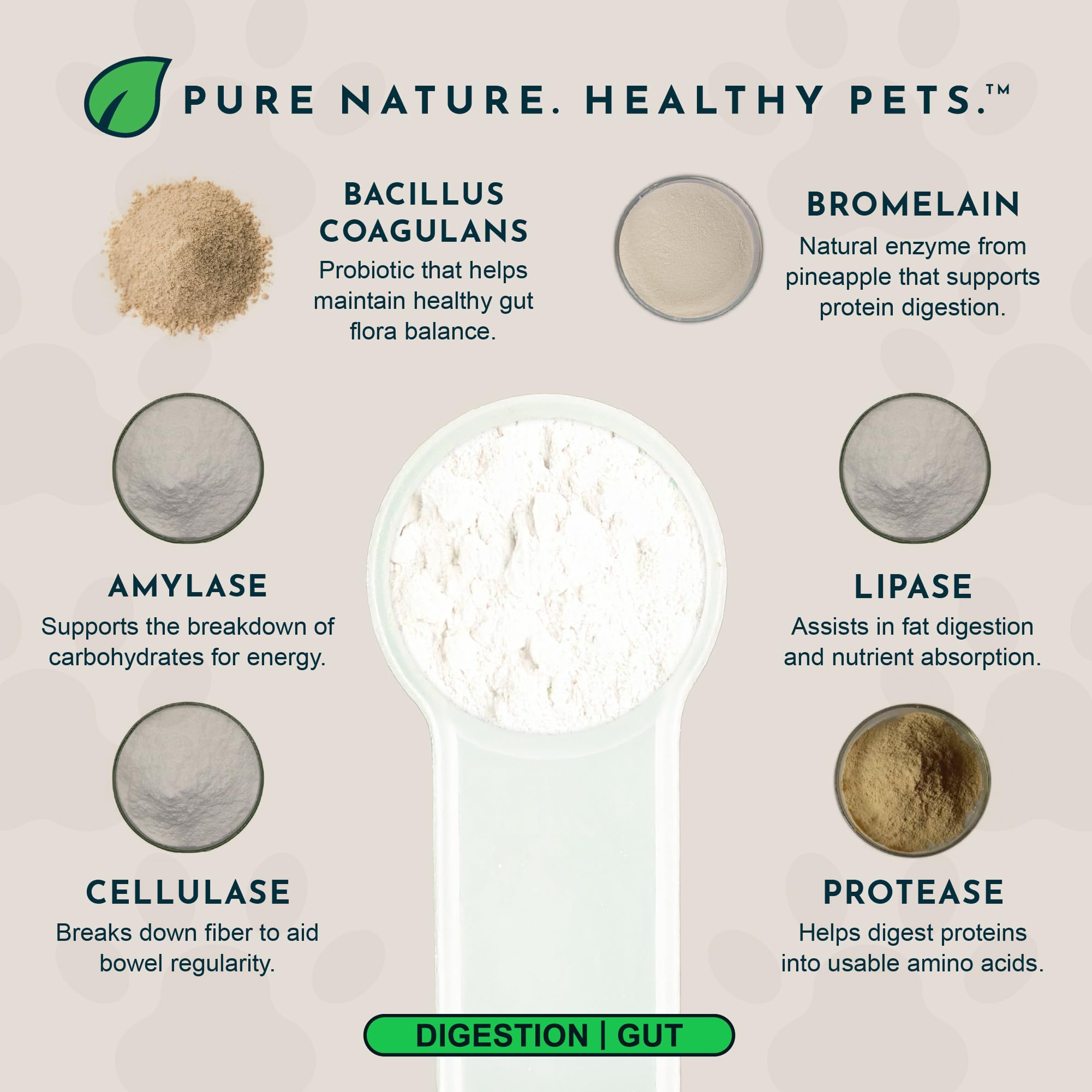Animal Essentials Plant Enzyme & Probiotics dog-dish daily digestion support.