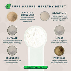 Animal Essentials Plant Enzyme & Probiotics dog-dish daily digestion support.