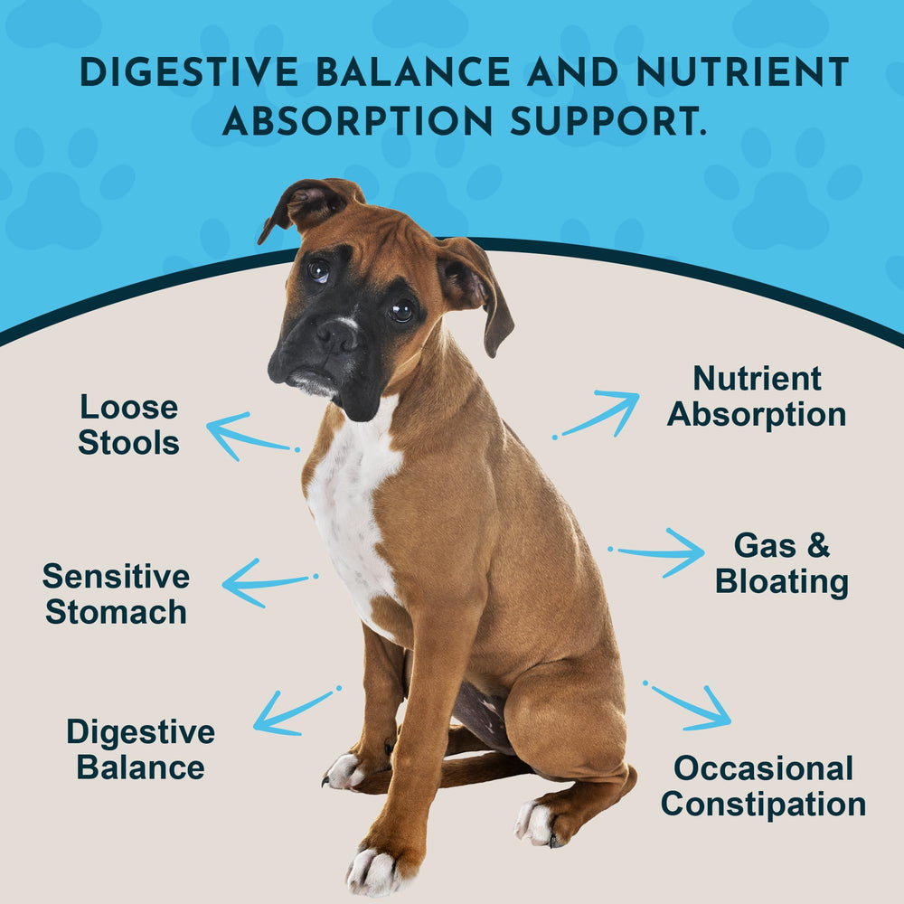 Animal Essentials Plant Enzyme & Probiotics scoop for precise daily dosing and easy feeding.