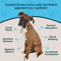 Animal Essentials Plant Enzyme & Probiotics scoop for precise daily dosing and easy feeding.