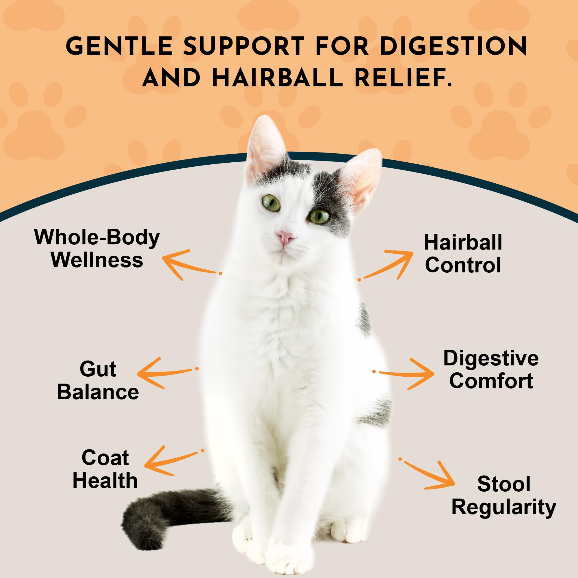 Animal Essentials Safe-ingredients label emphasizes purity and herbal trust.