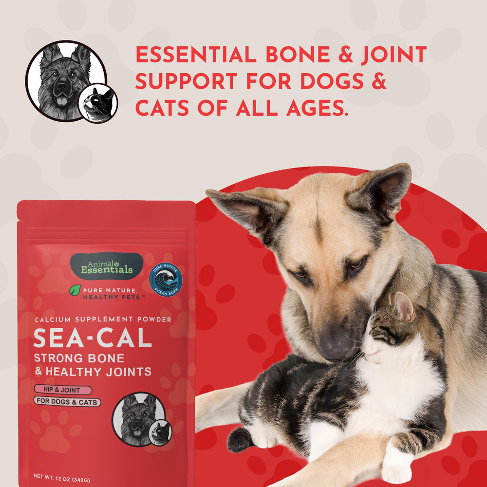Animal Essentials Sea-Cal cat bowl scene indicates pet-friendly supplementation