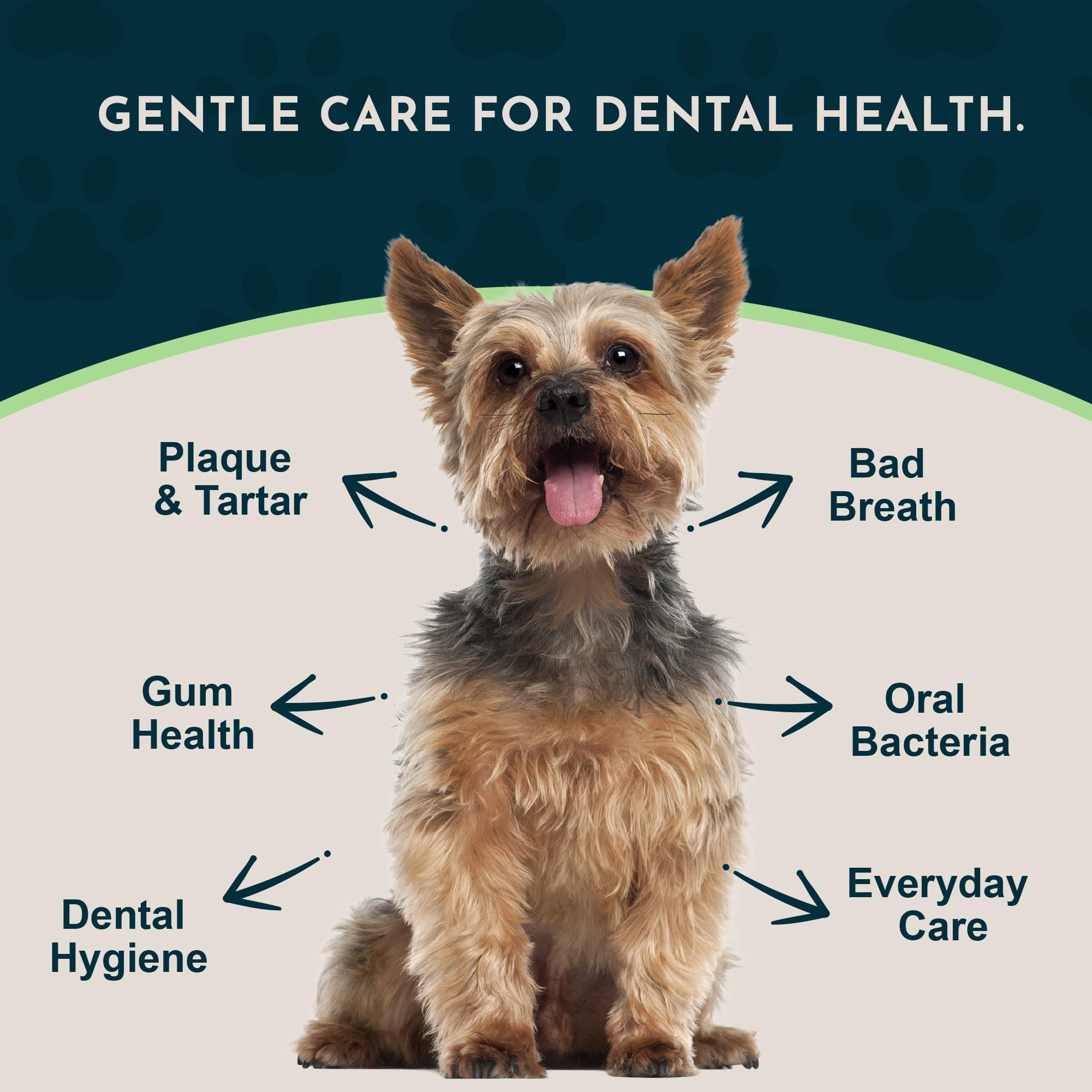 Animal Essentials Sea-Dent cat-teeth-powder helps maintain oral health and clean teeth.