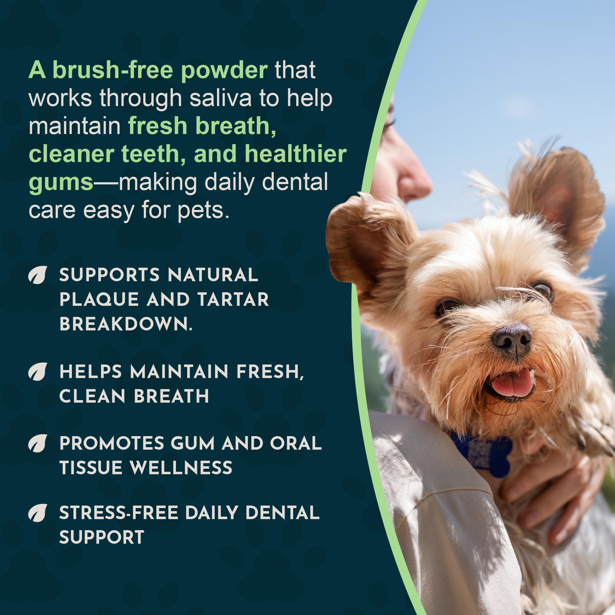 Sea-Dent natural-enzymes-minerals blends support daily dental care.