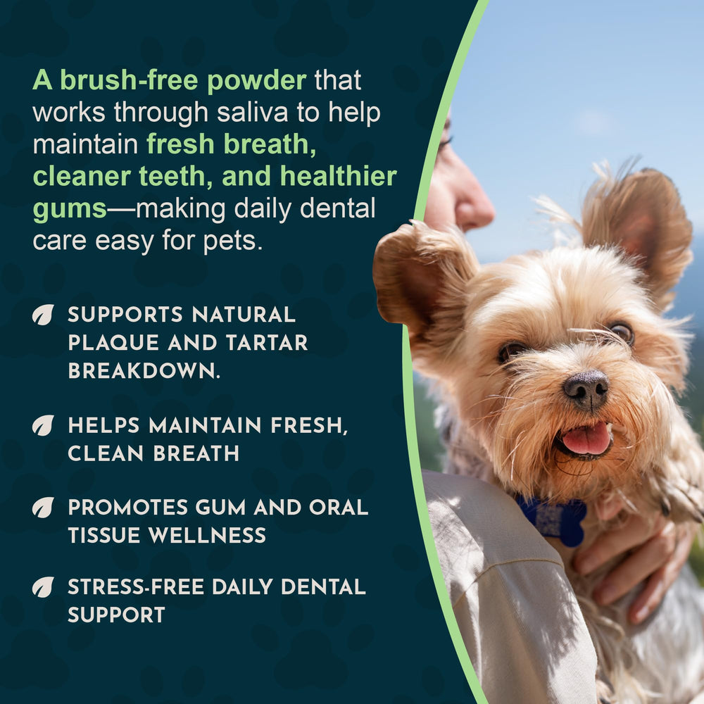 Sea-Dent natural-enzymes-minerals blends support daily dental care.